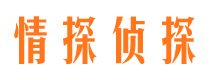 临翔市私家侦探